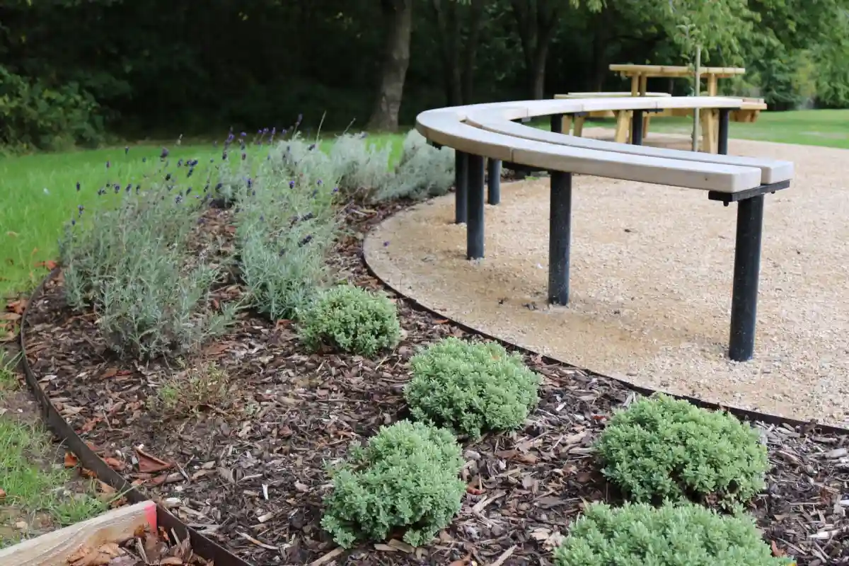 Picture of the garden